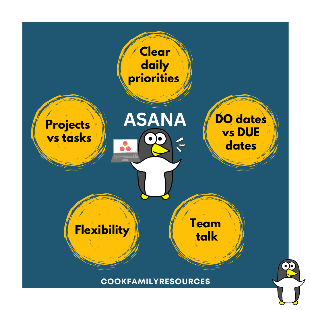 The Benefits of Using Asana for Small Business blog image 3 COMPRESSED